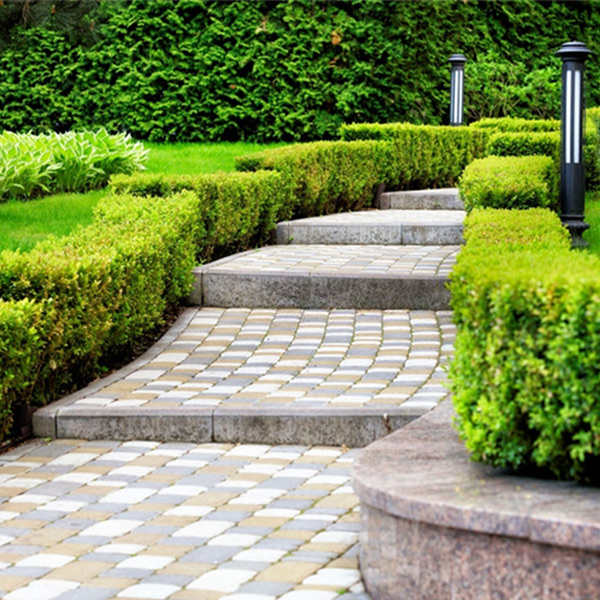 LANDSCAPE WORK IN AHMEDABAD - SYNERGY SYSTEMS